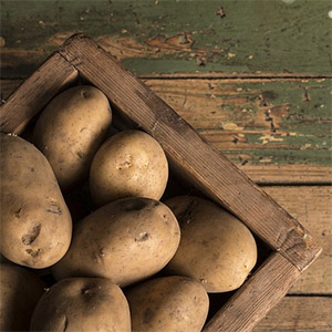 Aardappelen